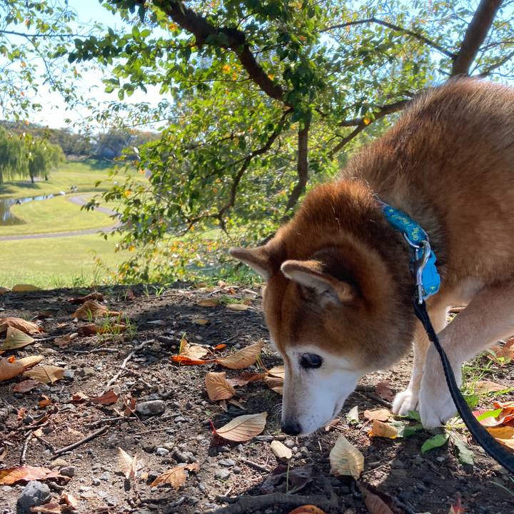 0c1ed2d7 8208 4071 99cc 8b2f2efea31d 1698297254942