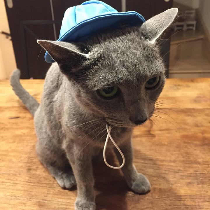 0c1edcce 4cc1 4fde 860f 1cf7f8431cbc 1521895866183