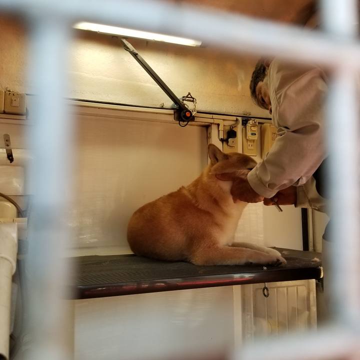 0c1ee329 ab51 4bb7 a135 a0f6f3747724 1627880569259