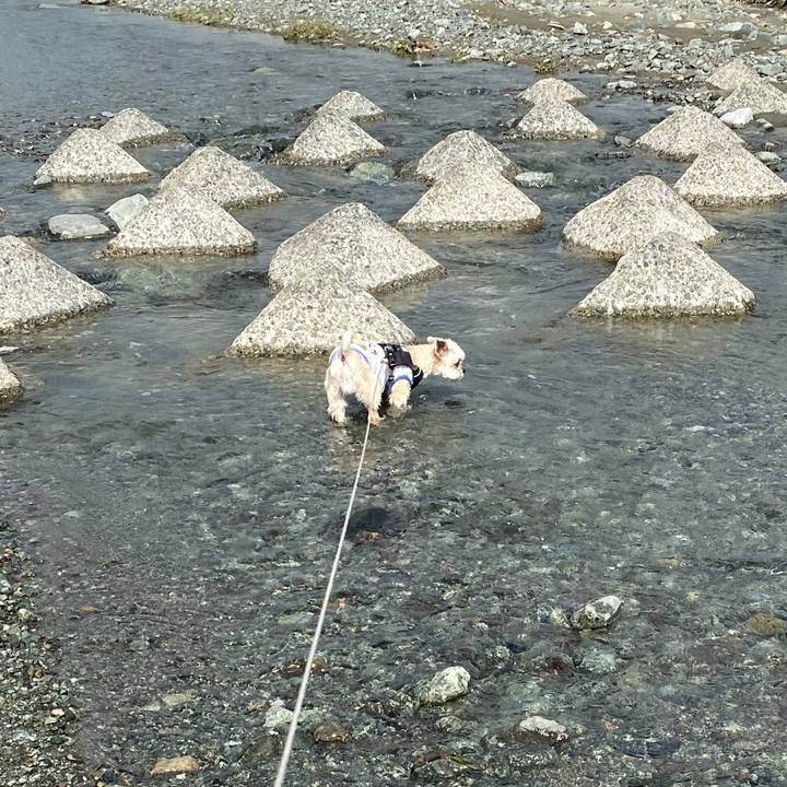 0c1ee4bc 5612 42bd 914e 0a20f125f0f4 1587892899854