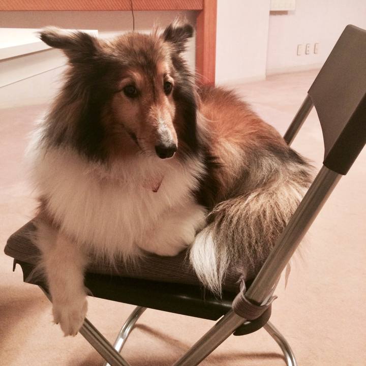 0c1f0e66 51a2 4c7c 8033 396aa2ffff47 1536075859873