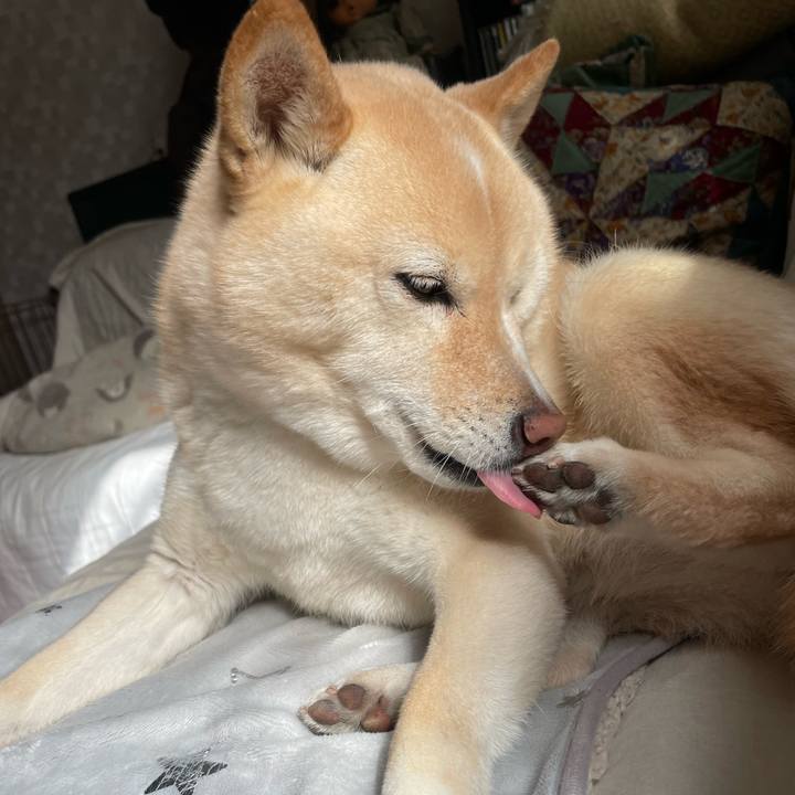 0c1f0eab 9dd8 4542 bdd0 7211780b7b97 1739360007573