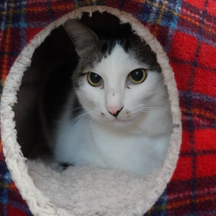 0c1f1468 44b5 4192 a2a8 537d49a4e69a 1638400537629