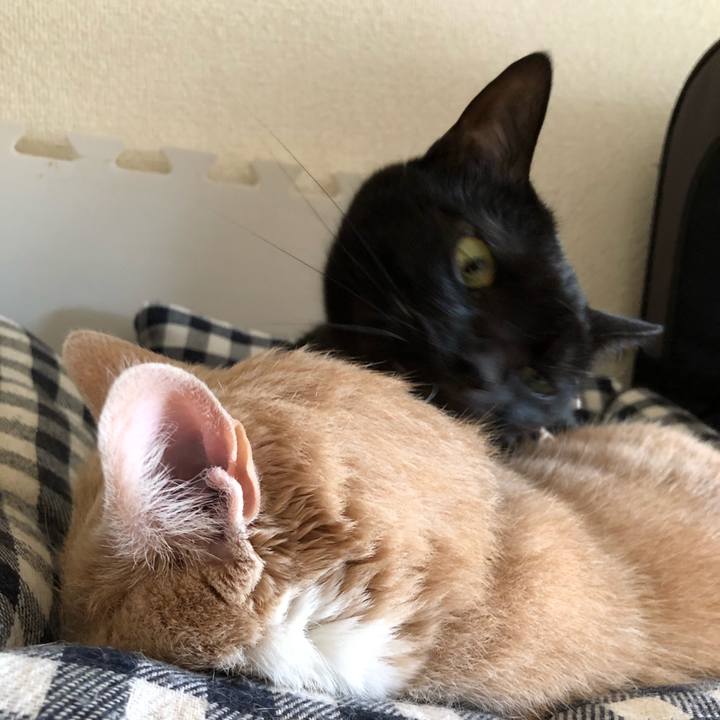 0c1f8b93 69e2 456e 9c3b 27f03bf763b3 1577937642599