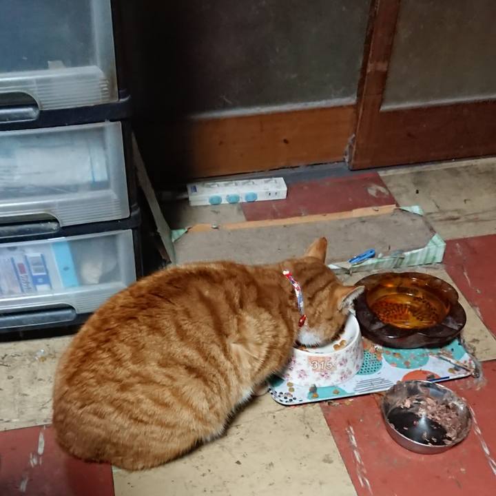 0c1faea6 90b4 4ccf 9bb9 9d234a4b26d9 1577651264365