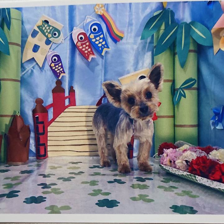 0c1fc966 c143 4e0d 8b95 6f37eaa6f385 1590072164399