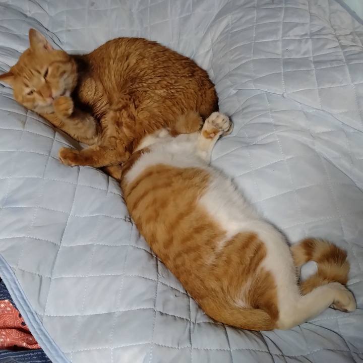 0c1fcae0 3428 41fd ad6a 816f3cf994cd 1735808809267