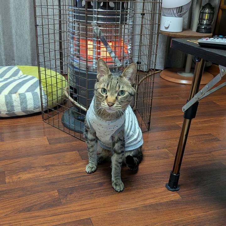 0c1fe1c2 7b30 467d b54f fd7d172b7fd4 1770285644597