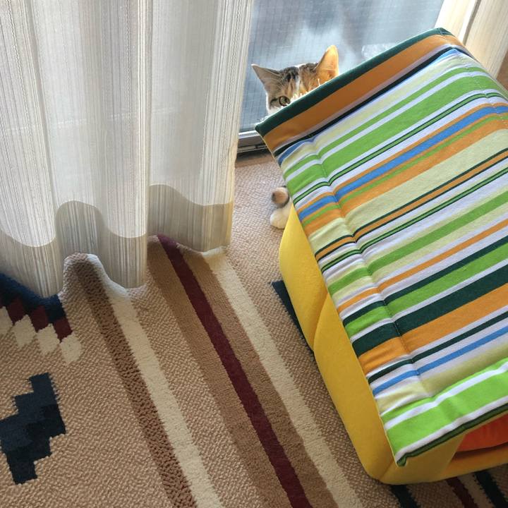 0c1ff478 f4db 44b4 8a6a baf9093dfaea 1585092555304