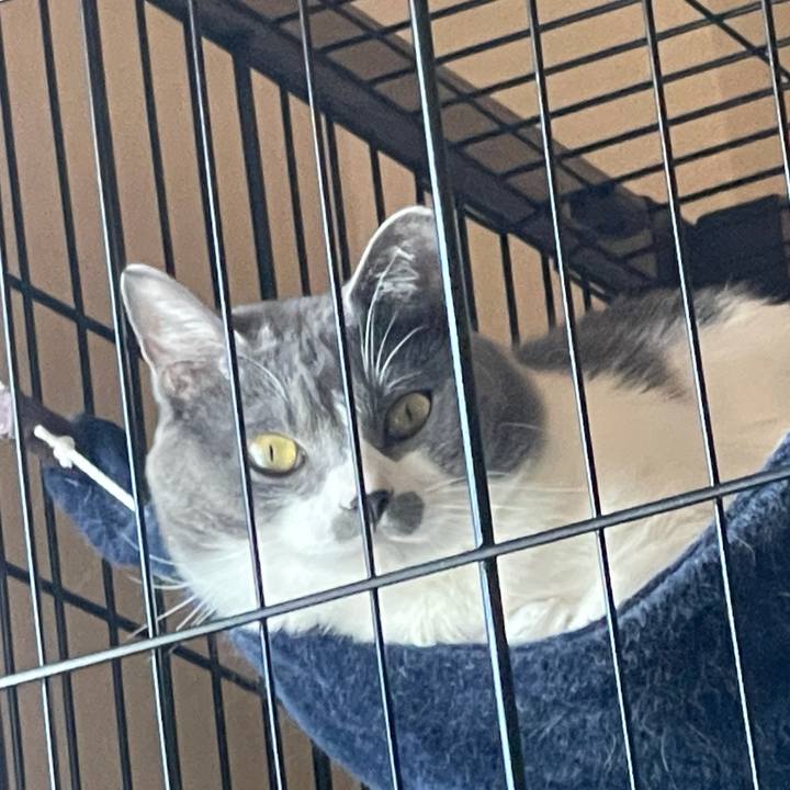 0c1ff986 c79d 41a6 b0c2 7c9a42c3b80b 1635486840215