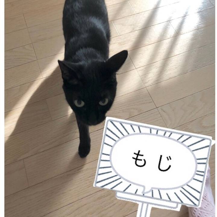 0c200629 fc32 4280 8b10 ed999f9f3945 1627047567669