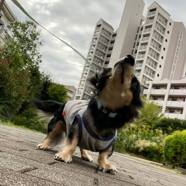 0c200ede ca0f 4a07 9a87 90cb87785e56 1696831095199