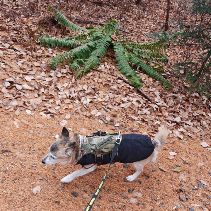 0c2032ea df36 48f8 b81d 260ce0df27b0 1764334288717