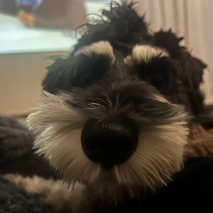 0c203c81 6d58 493f 9f04 8151c423b52f 1766576545740