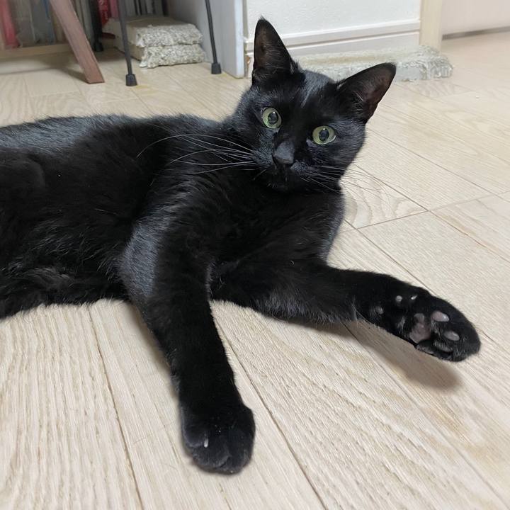 0c205e88 3127 4c15 a3fc 6493d872deab 1643804760416