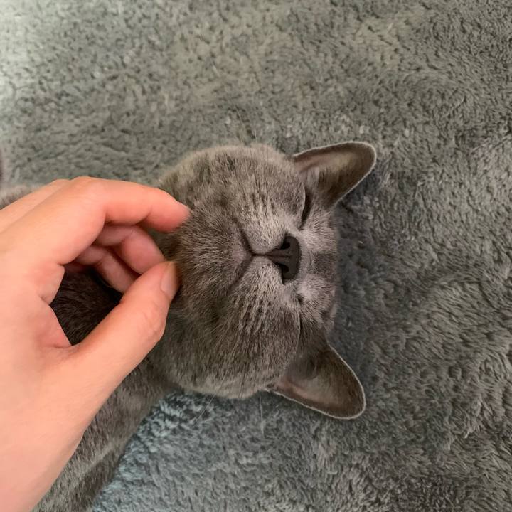 0c20796a 5744 4217 888b 8c547fcb751b 1627430154973