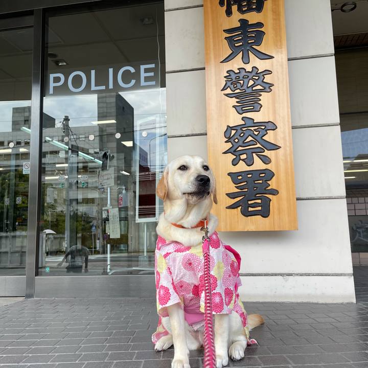 0c207df9 ceca 41aa 8edf ee63119020a6 1628571440102