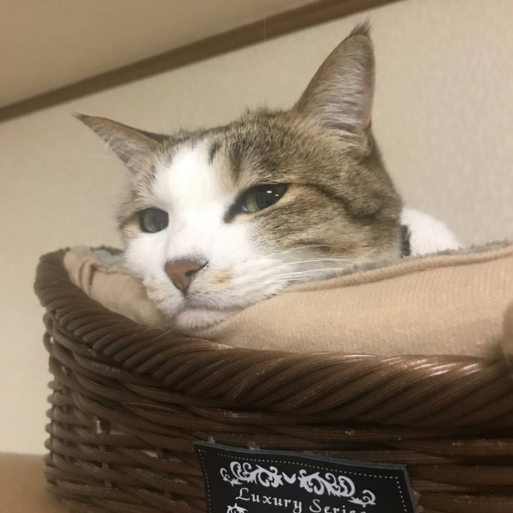 0c20868e 3797 47d6 94d2 0d8de6b3c1ef 1586707991821