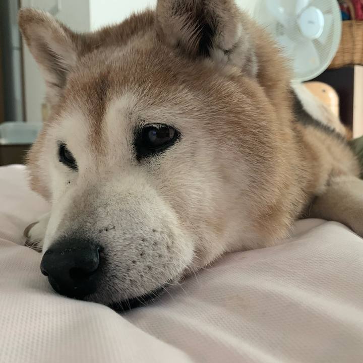 0c20878f 0259 49e0 aea8 781940506886 1696043225373