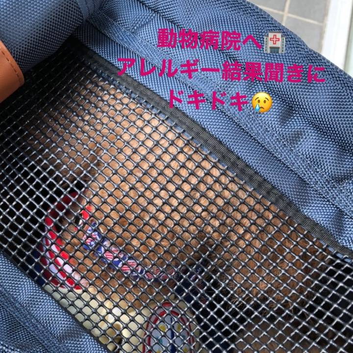 0c2094dc ffe7 484c aac2 cd78496d3a81 1586506909142