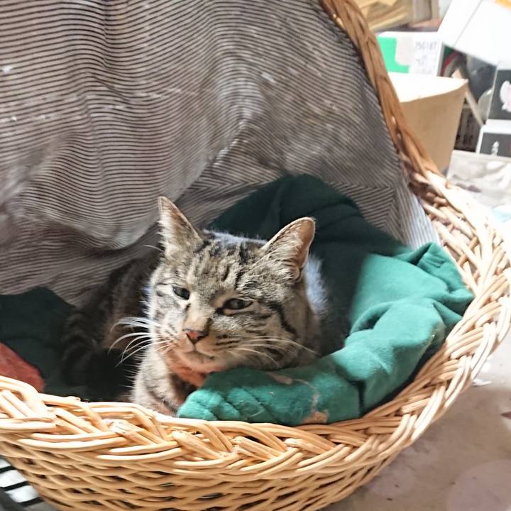 0c209d95 4bdd 4704 a51c eb838c898c89 1642413639450