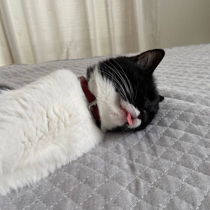 0c20ce28 7e5d 41e6 9ceb 09792acc0a4c 1628821318250