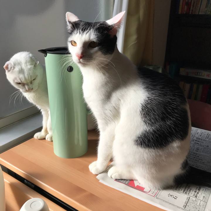 0c20feb7 1200 4cee a19f d981c26f8f8c 1517294656021