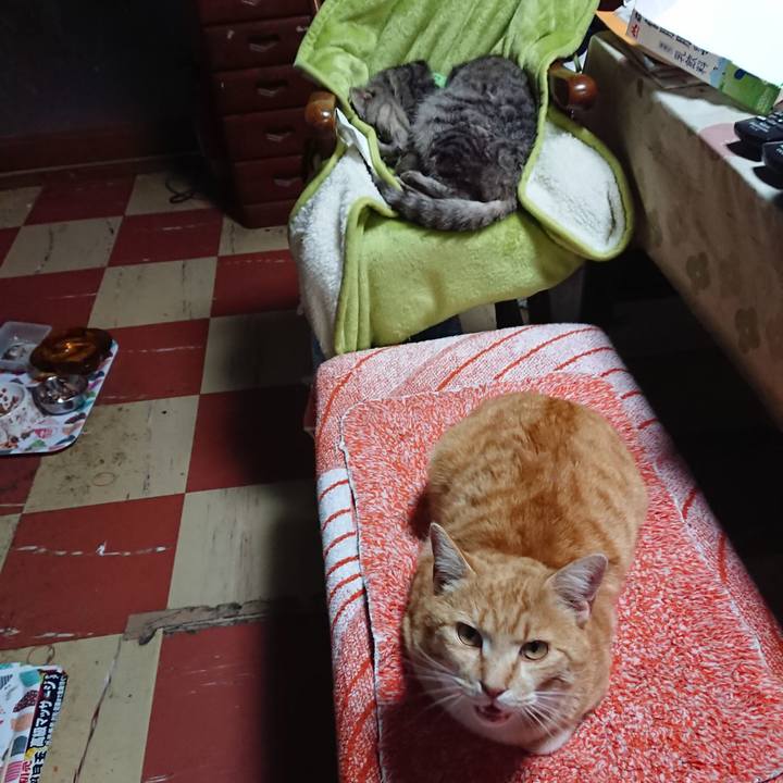 0c210453 0a96 4583 9ce7 09daf4d1b7b2 1587373788840