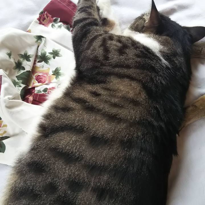 0c210620 40c6 4786 97a2 52a7558a899c 1628910409802