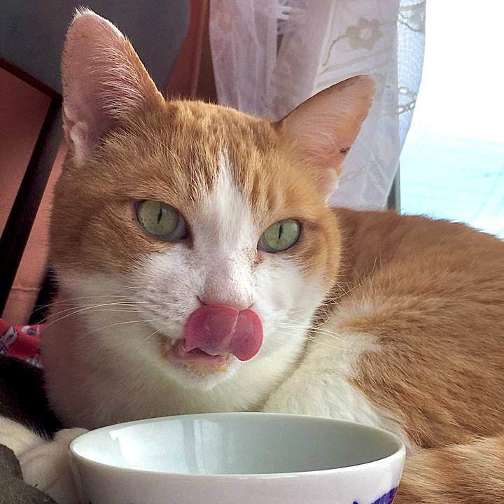 0c2150e5 0b0b 44fe 9498 90d97390b369 1582169500788