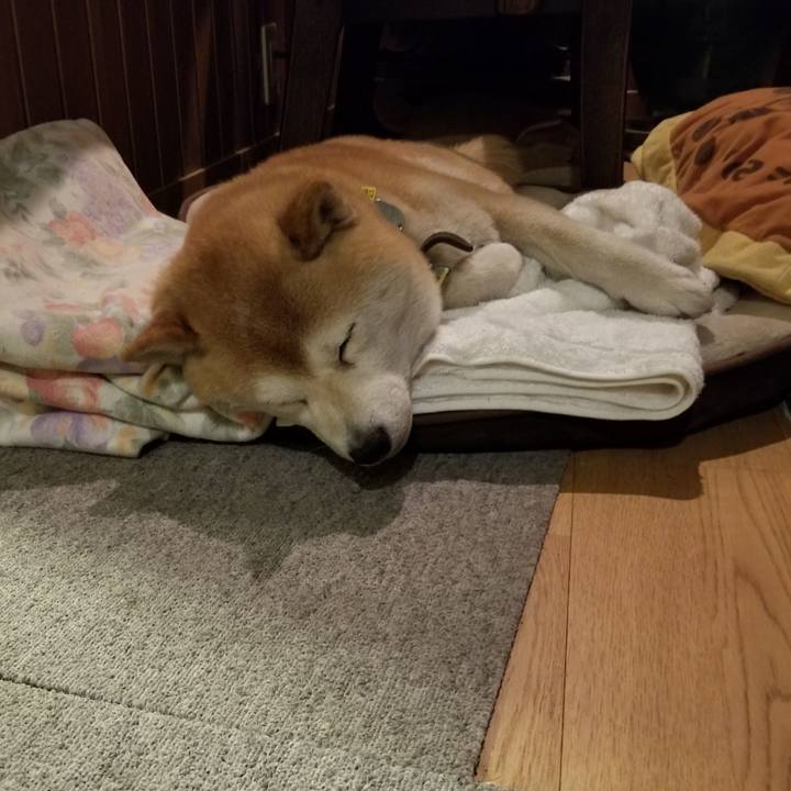 0c217f80 3c38 41d4 933f 058f253c602a 1651667240942