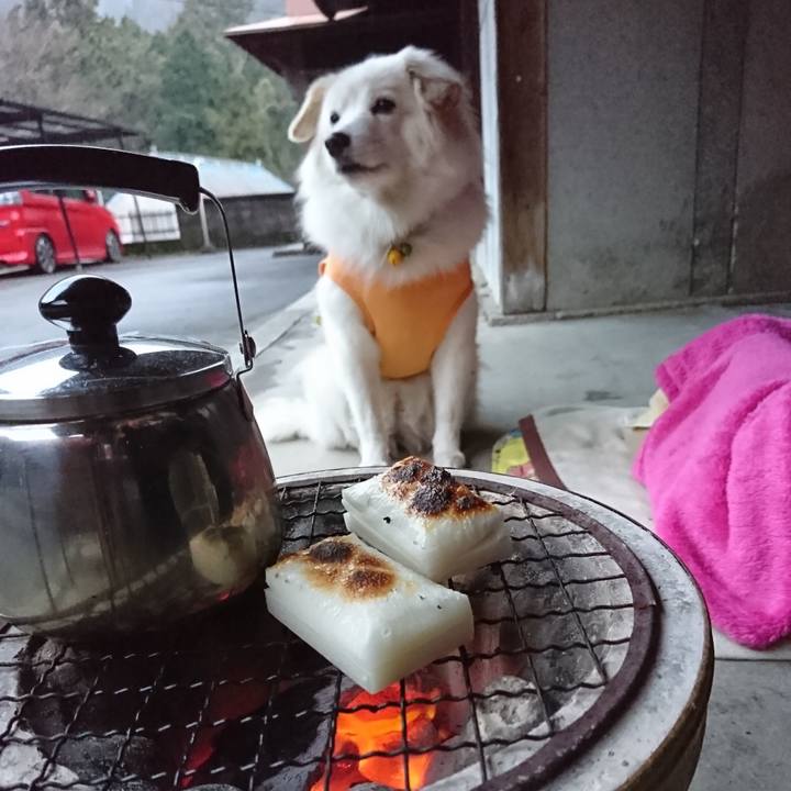 0c218bbe 6475 4f1b 97f7 1d0135284f73 1547971562320