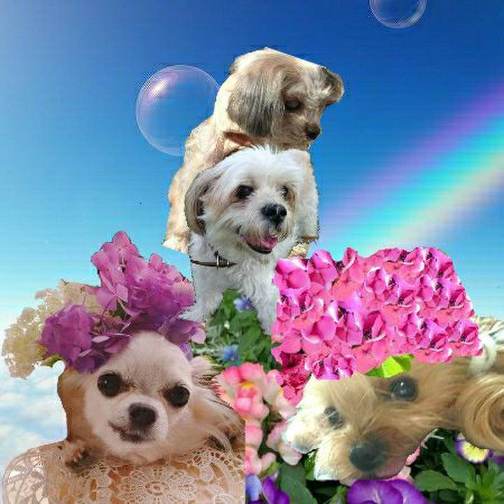 0c21918b fe60 44d7 b9f1 3b295c8ce6a2 1623989278992