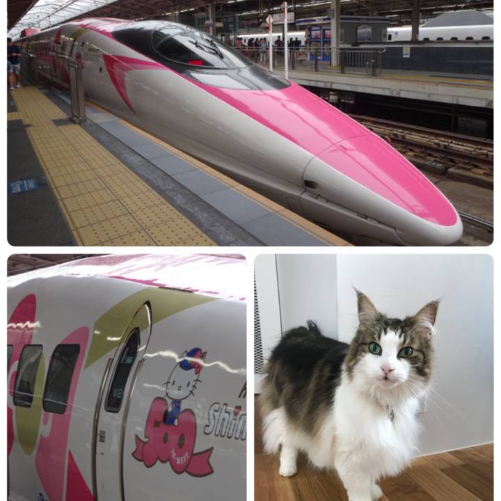 0c21dcc6 e527 4081 8c91 d2999edb0ca2 1562988242380