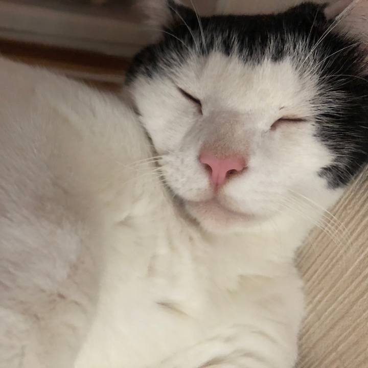 0c220666 ec20 475f 9683 b19106028777 1598681370581