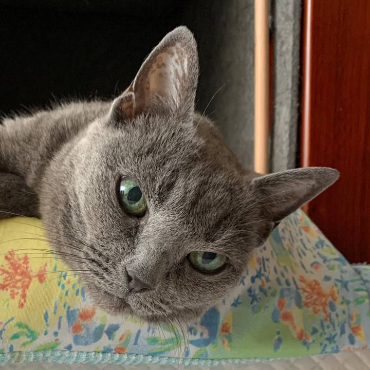 0c222008 e060 476c aaa5 2e9a21ebf8f0 1631321007160