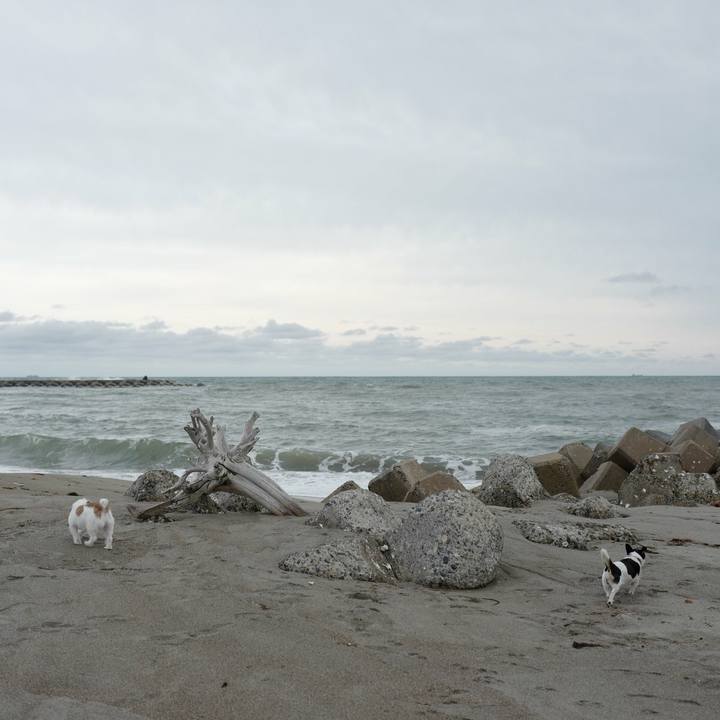 0c22433f 4808 4c28 8af3 8cb8d4301e19 1529037509113