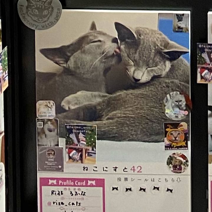 0c2254ad 91ff 439d 926d 498f405c3cef 1639366560856