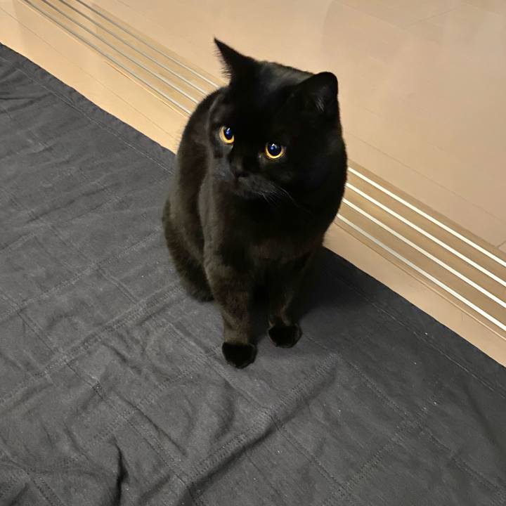 0c2278bf 13fd 488d 809b 0cfd5ed57fb2 1676471782586