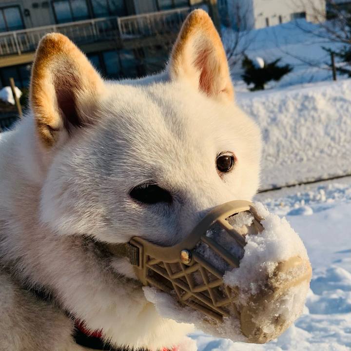 0c22a099 c895 4591 bbd9 03ae2af8564e 1677536887714