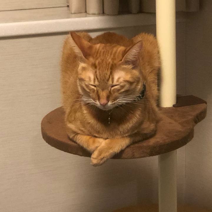 0c22a861 561e 4e89 a49e 93f5518b69e4 1631573218294