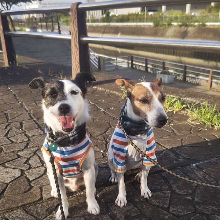 0c22be42 06b7 464a aacd 6b38a8e3ecad 1755470378257