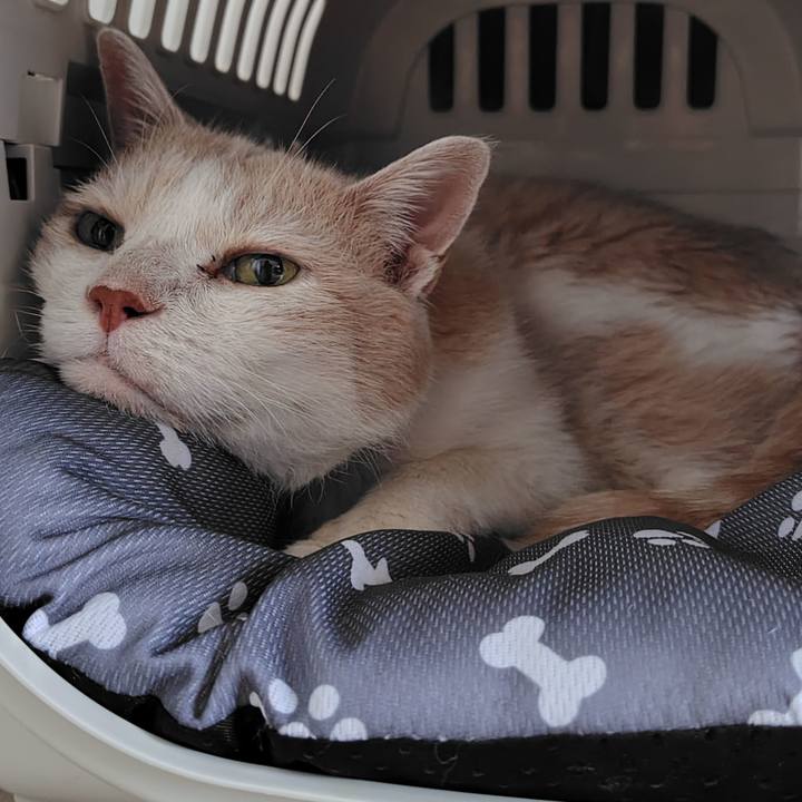 0c22d539 7a48 45a3 b69a ddbc297d316c 1752705150842