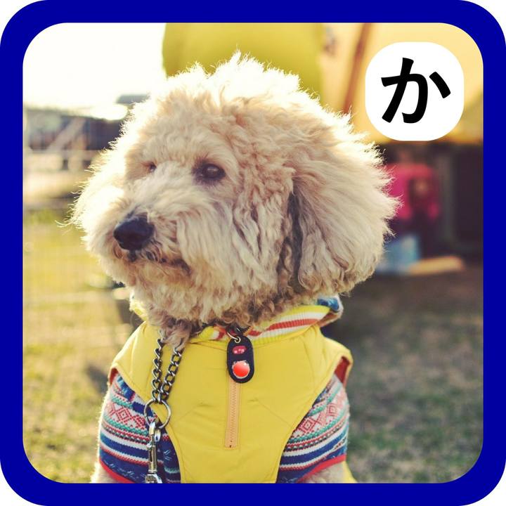 0c22ebda 5f9c 4c27 a4f0 98ae2772facc 1515322145206