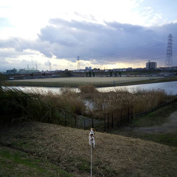 0c233ae5 ef41 4ad9 a7a9 b554299ddf77 1514274729736