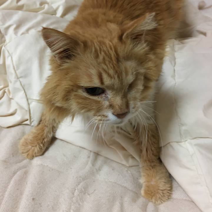 0c234b8f a760 4b92 b0fe 17a1512e5ea8 1524041064493