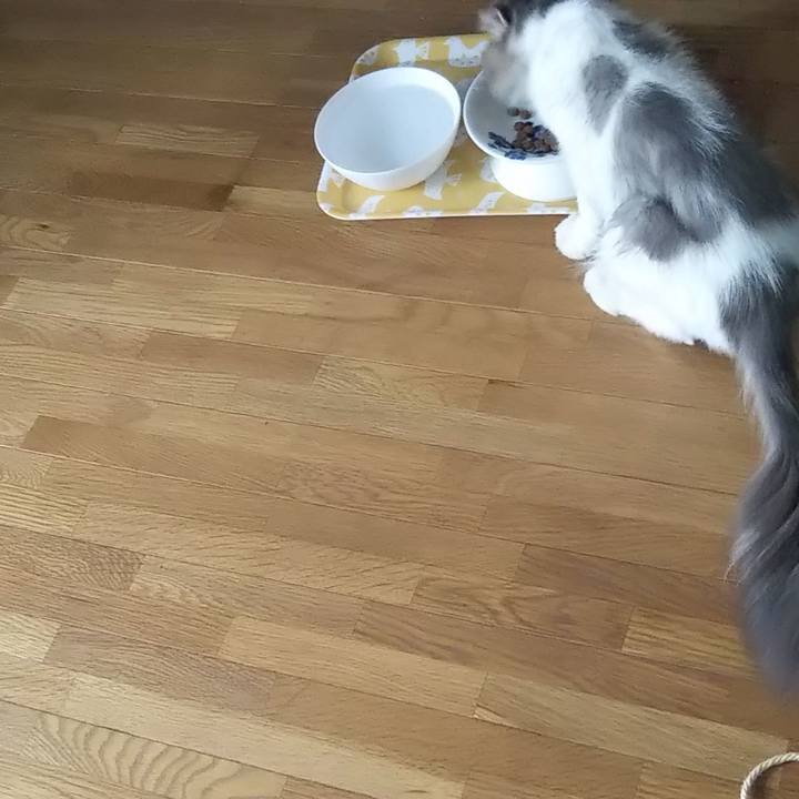 0c236c02 e2a4 457f 9901 9ddf2d9a06af 1625017870539