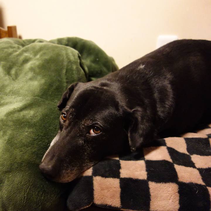 0c237e95 6d1d 426e a0da 8752f7957029 1738666678168