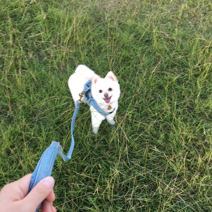 0c23d389 7cb2 4018 ae6b d0df119937af 1602761659718