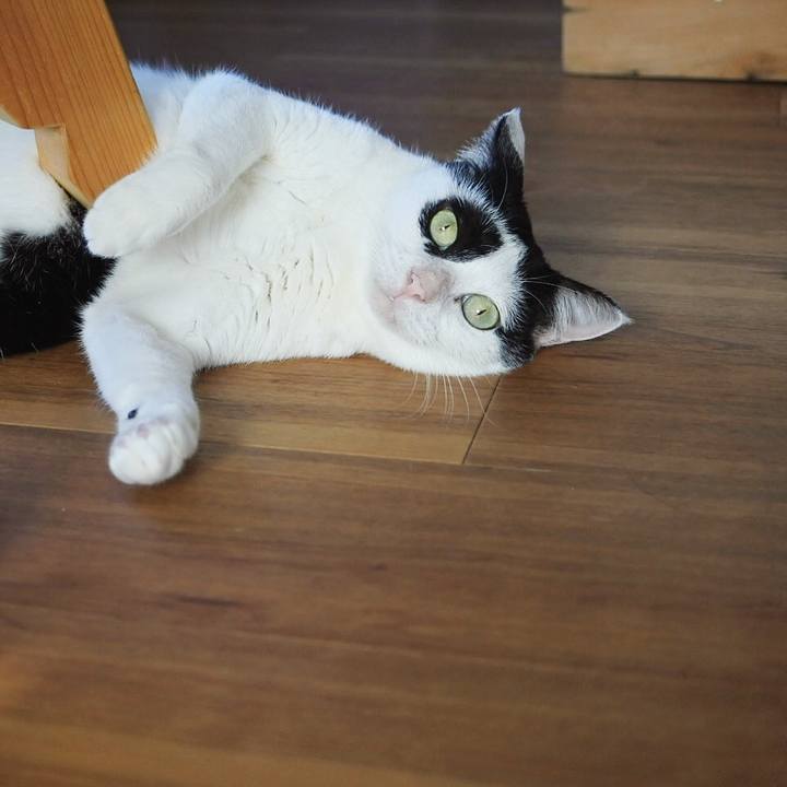 0c23db10 f83f 4537 9e3e b18dbfbc29f7 1608108614181